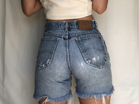 Vintage Distressed Lees Online