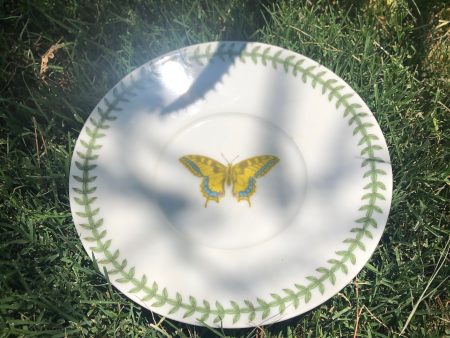 Vintage 🦋 Dish Online Hot Sale